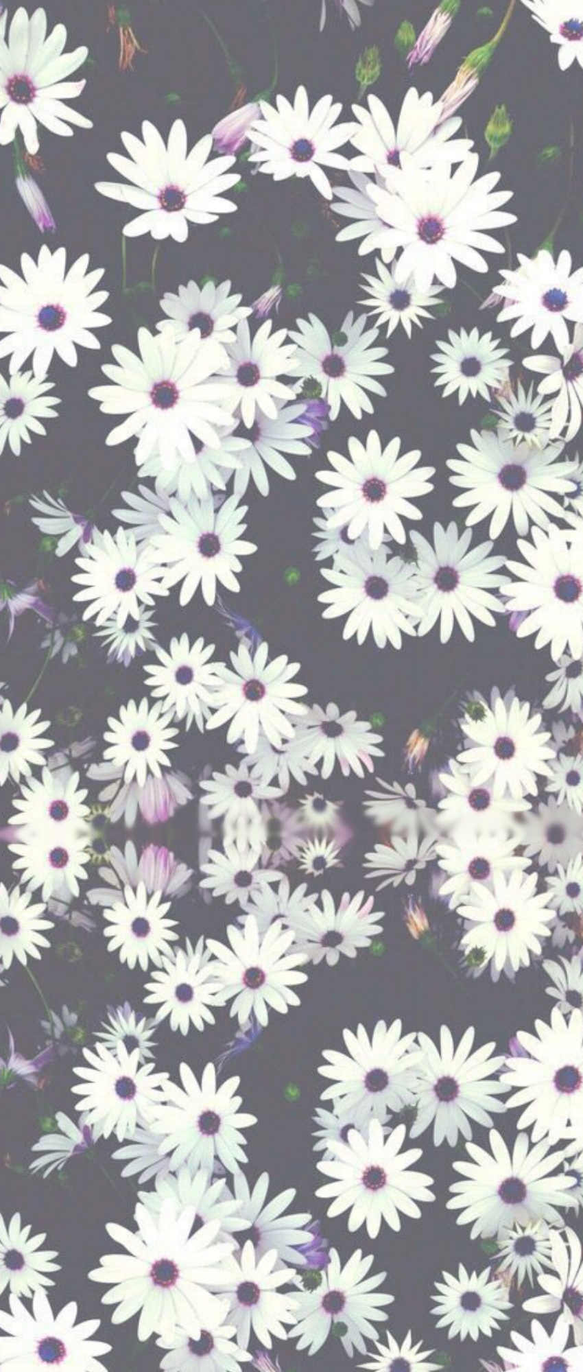 Grunge Flowers Tumblr Wallpapers