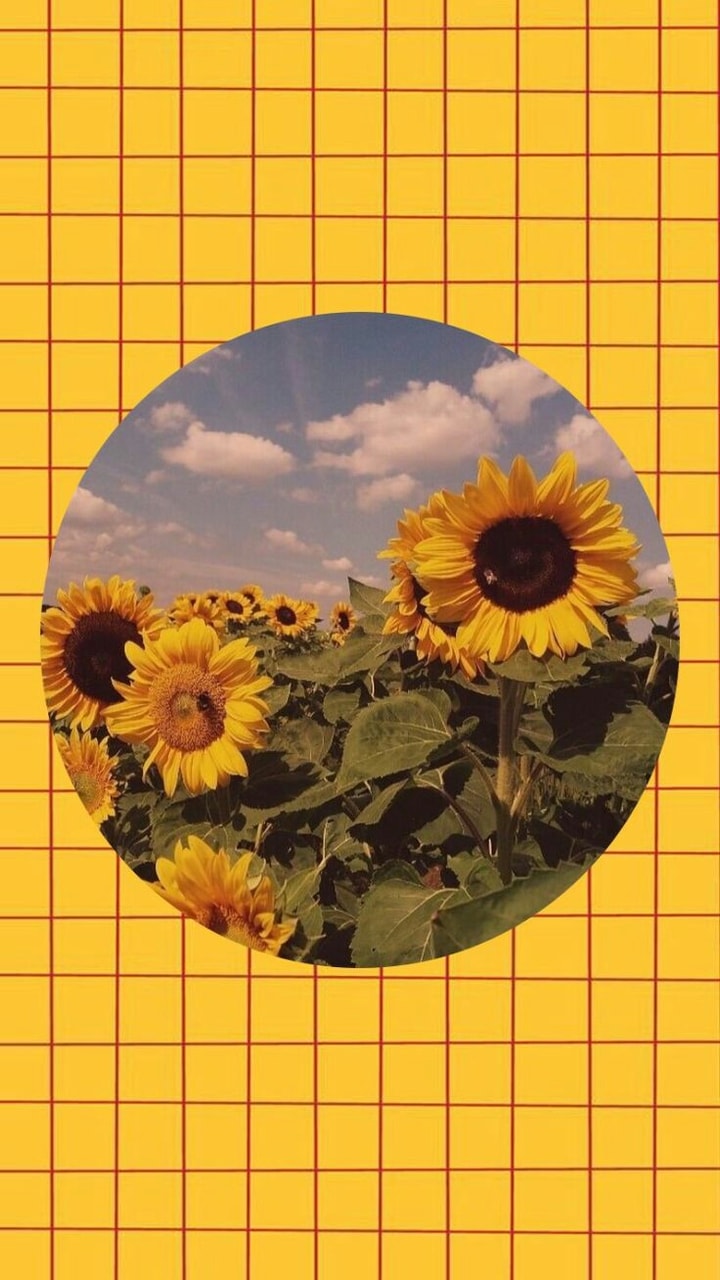 Grunge Sunflower Aesthetic Wallpapers