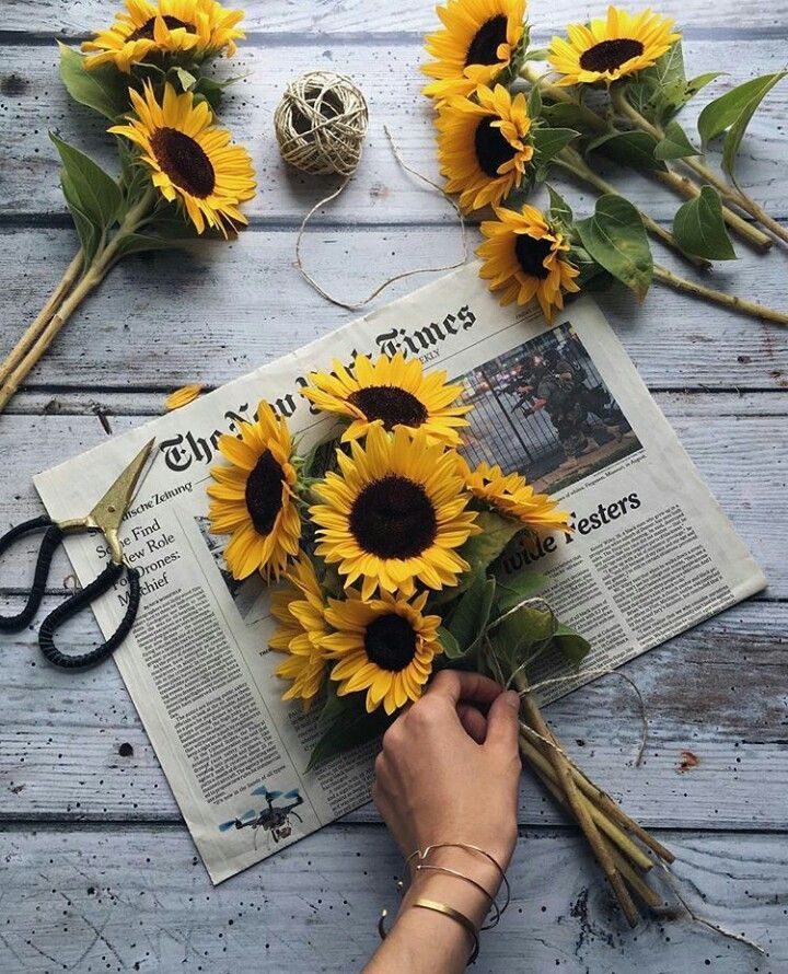 Grunge Sunflower Aesthetic Wallpapers