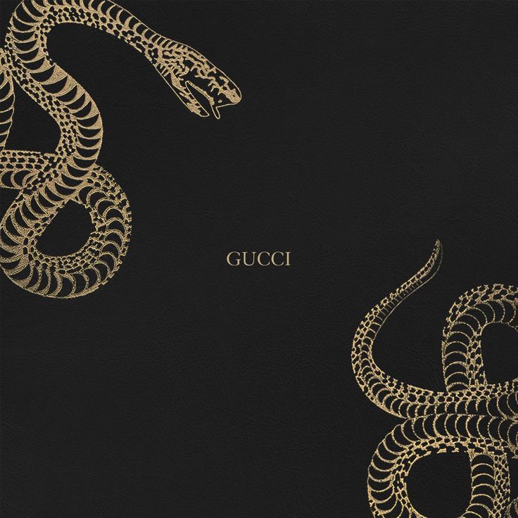 Gucci Desktop Wallpapers