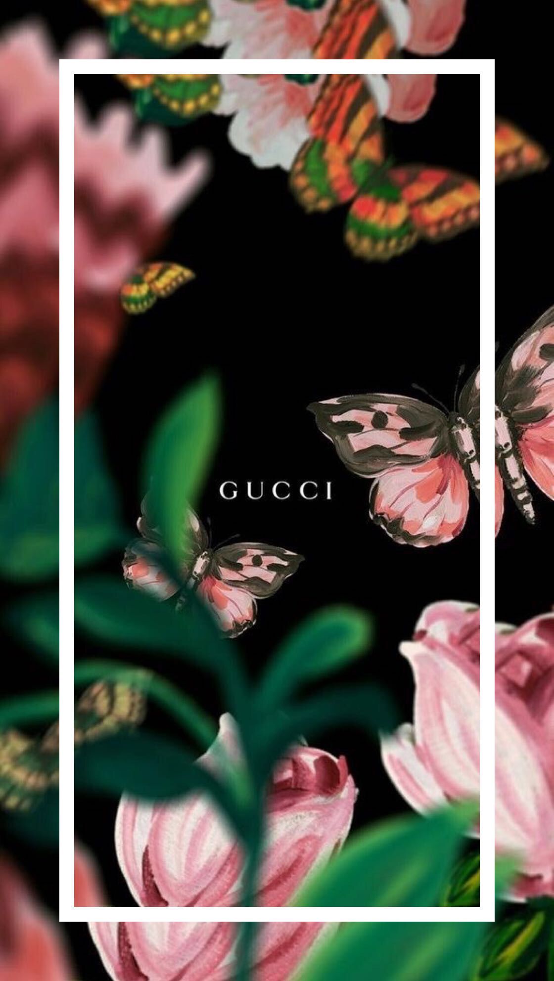 Gucci Live Wallpapers