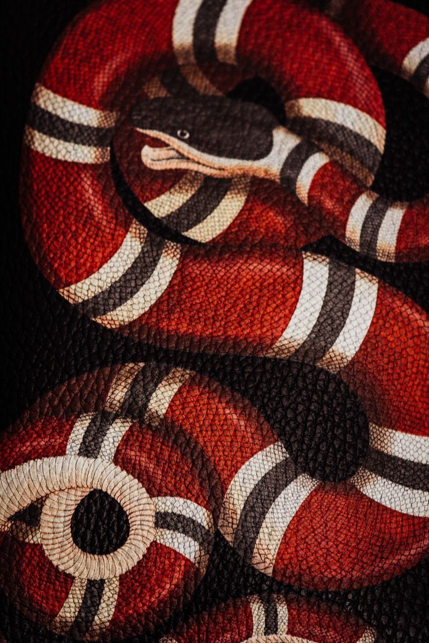 Gucci Snake Wallpapers