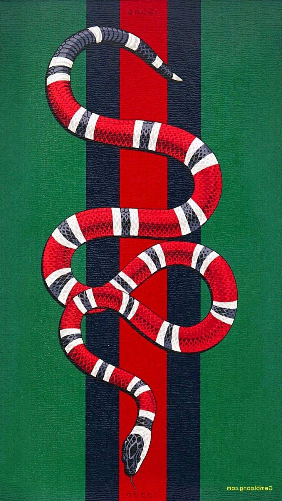 Gucci Snake Wallpapers