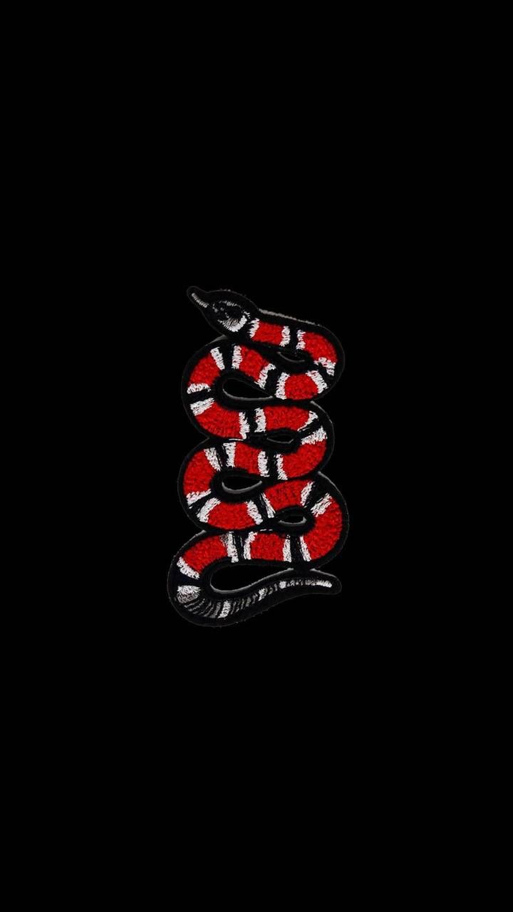 Gucci Snake Wallpapers