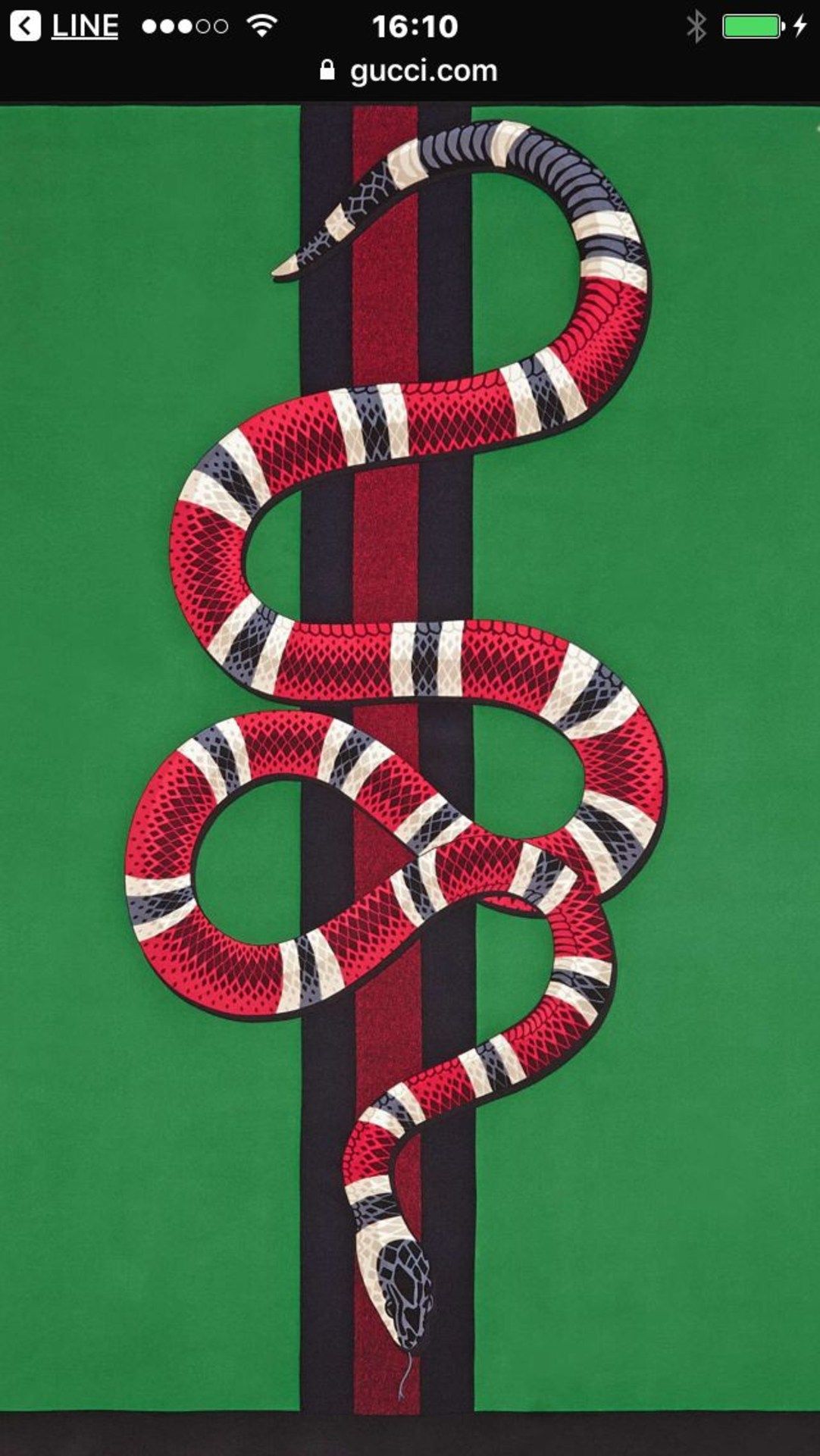 Gucci Snake Wallpapers