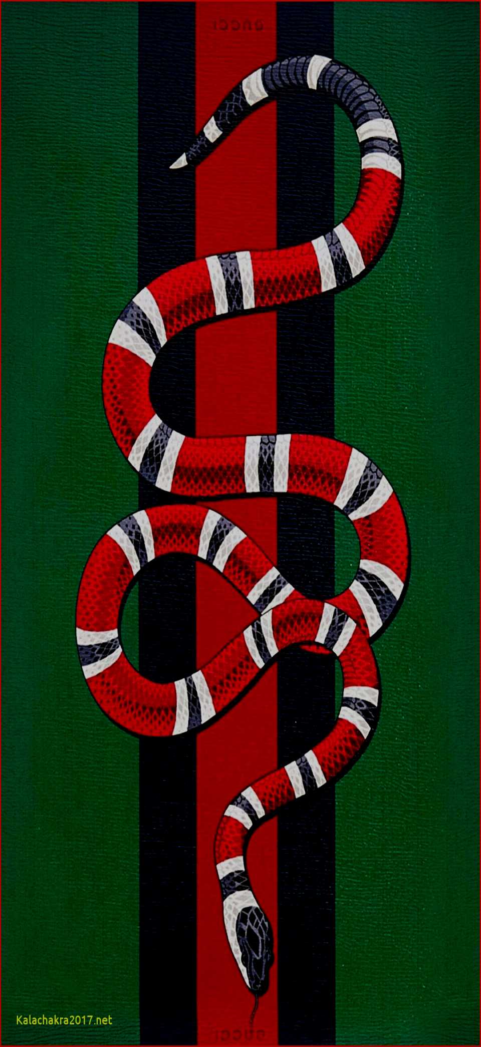 Gucci Snake Wallpapers