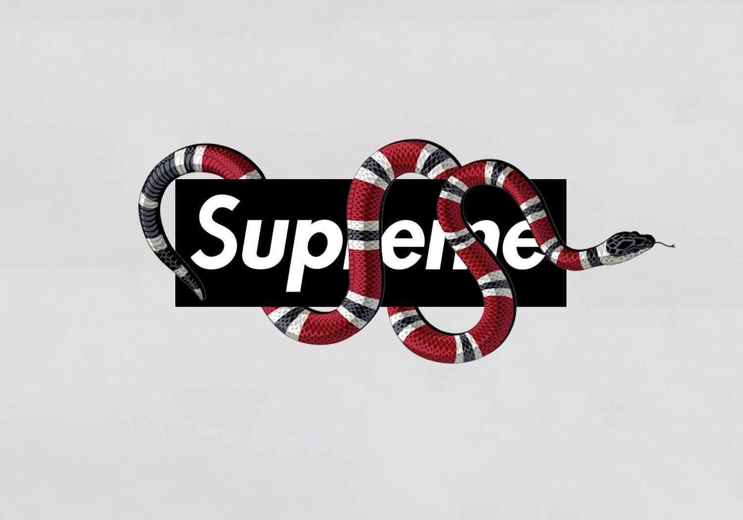 Gucci Snake Wallpapers