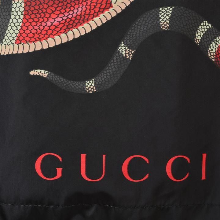 Gucci Snake Wallpapers