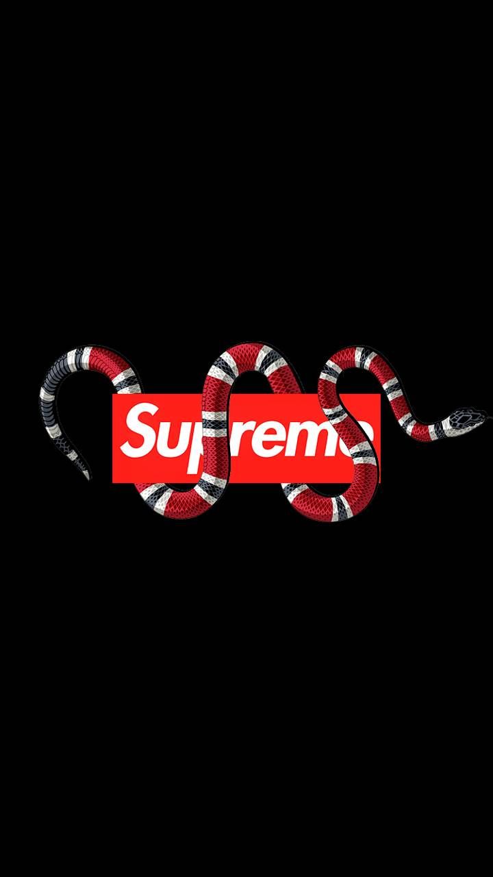 Gucci Supreme Logo Wallpapers