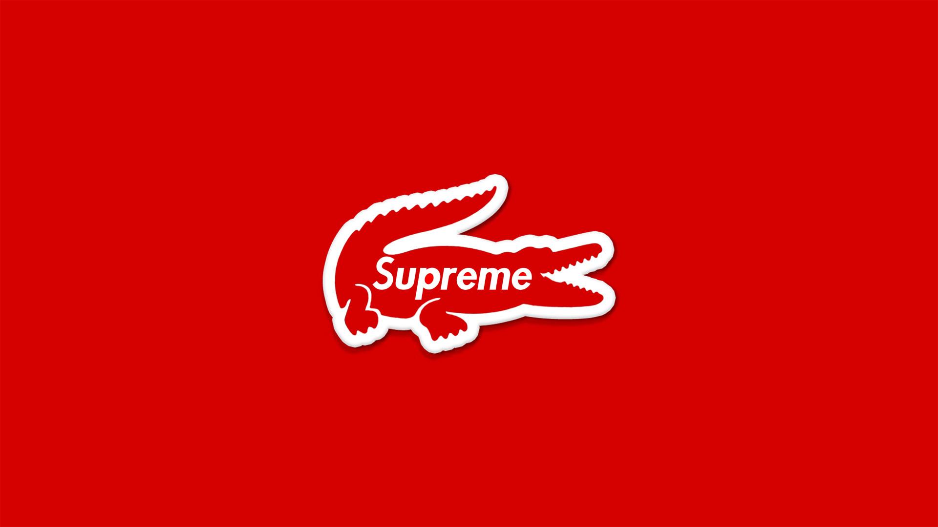 Gucci Supreme Logo Wallpapers