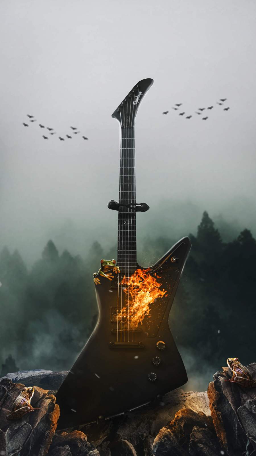 Guitar Iphone Wallpapers