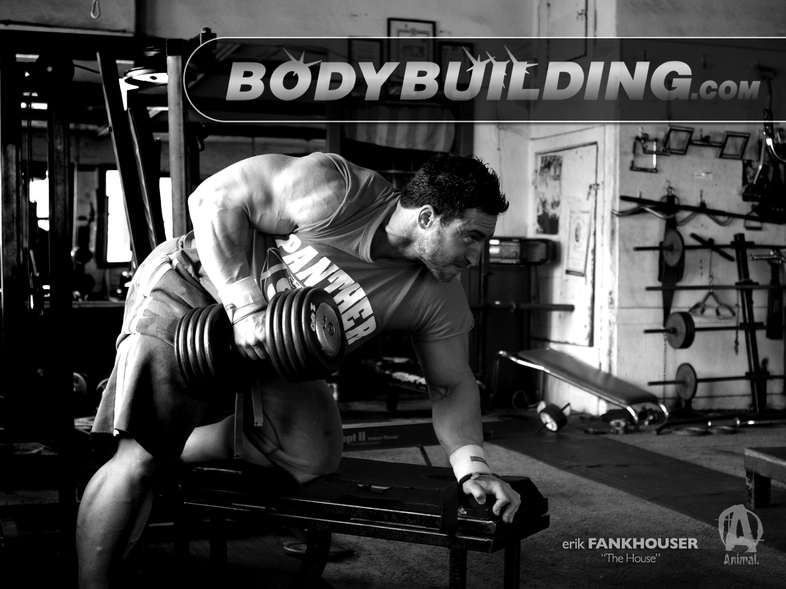 Gym Bodybuilder Images Wallpapers
