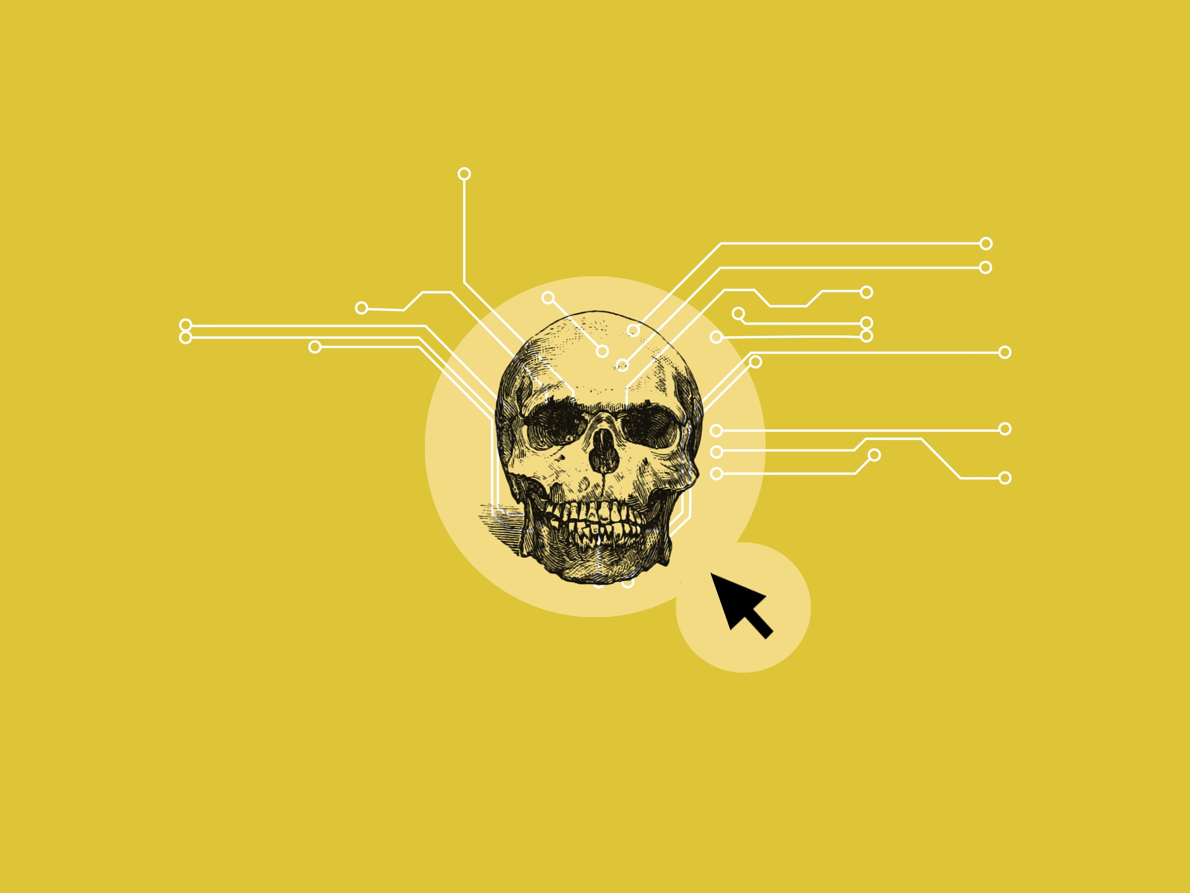 Hacker Skull Wallpapers