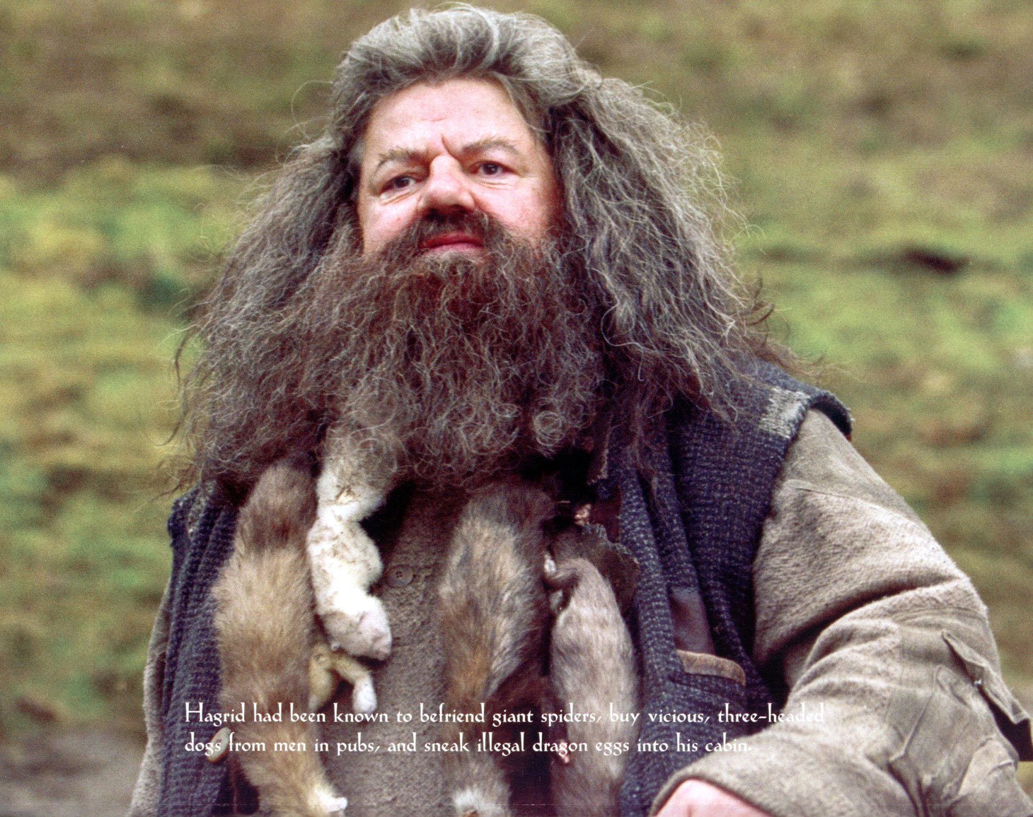 Hagrid Wallpapers