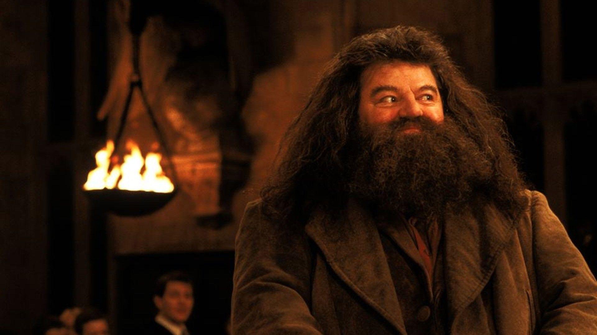 Hagrid Wallpapers