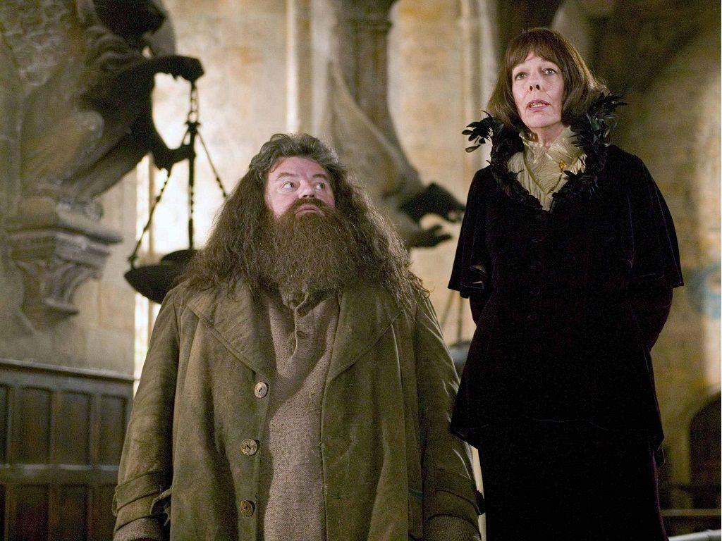 Hagrid Wallpapers