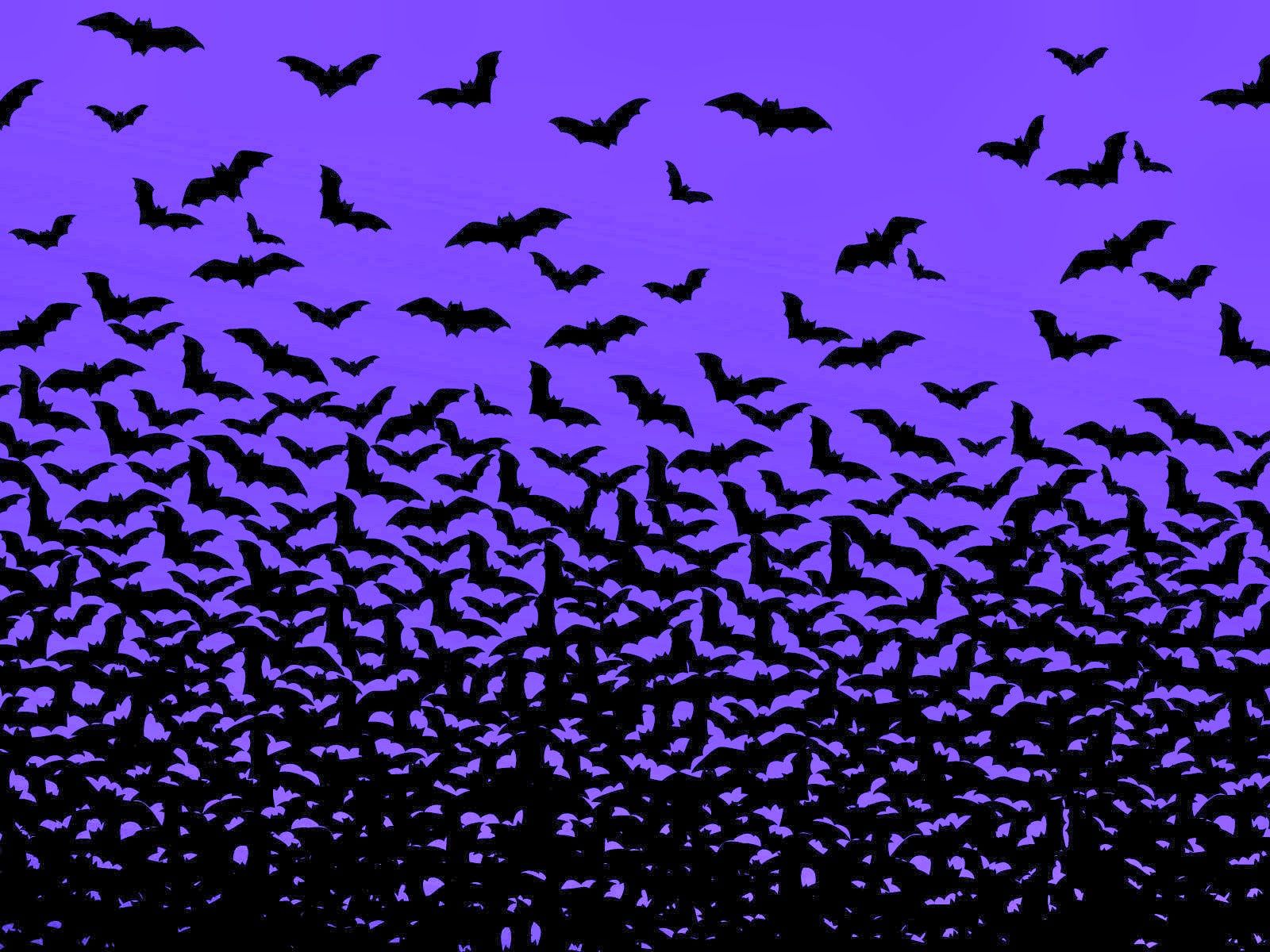 Halloween Bats Wallpapers