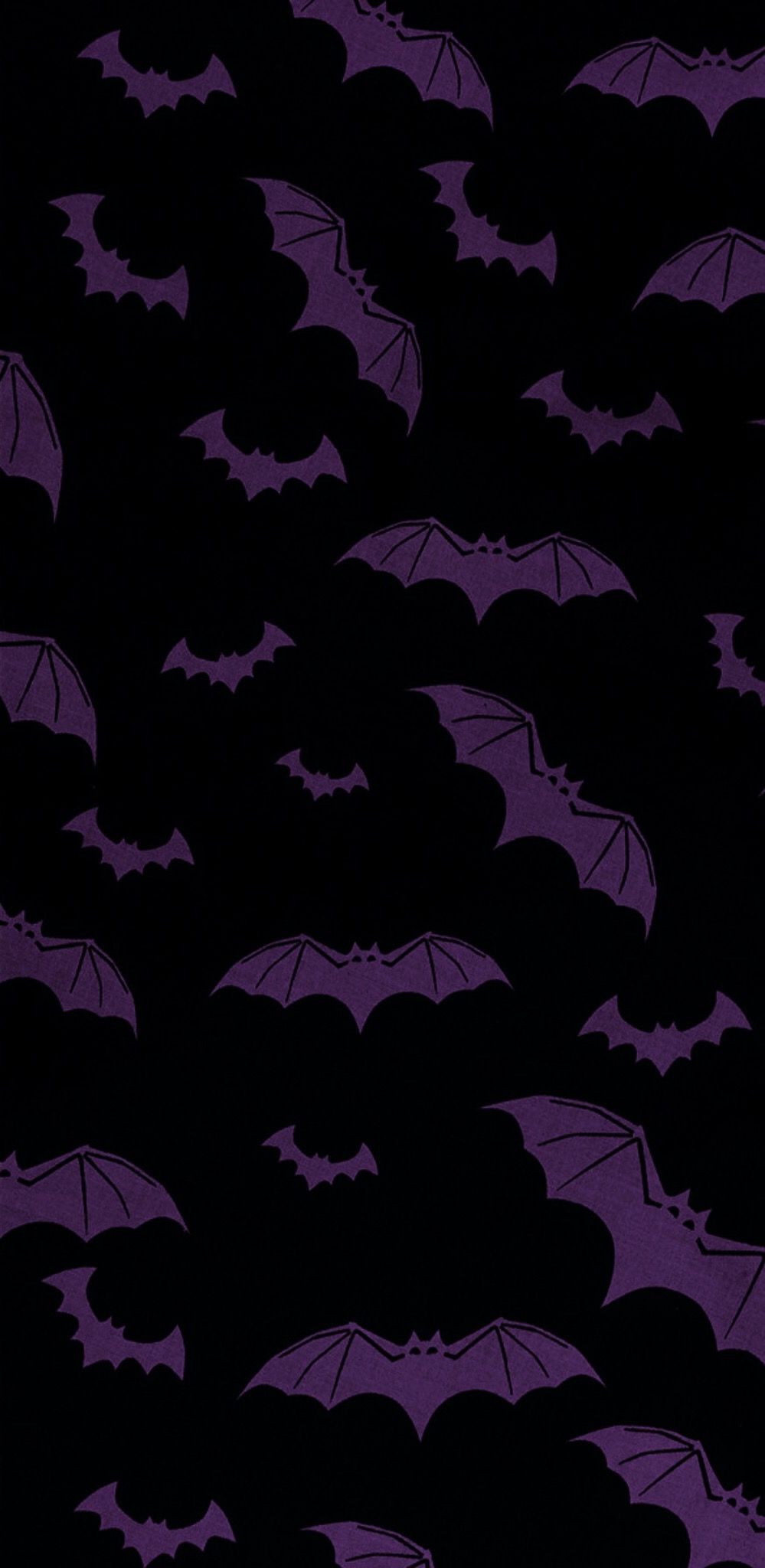 Halloween Bats Wallpapers