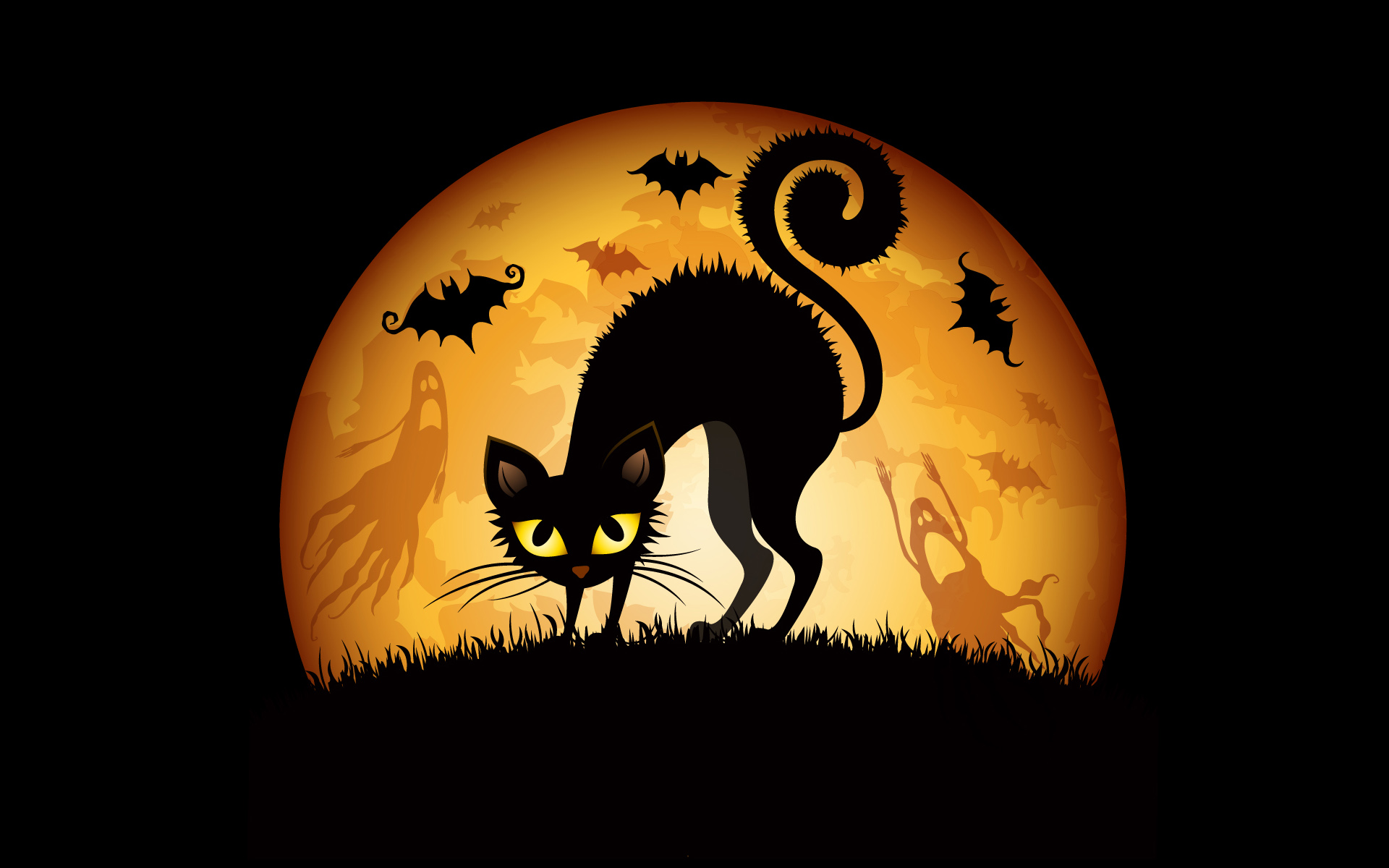 Halloween Cats Wallpapers