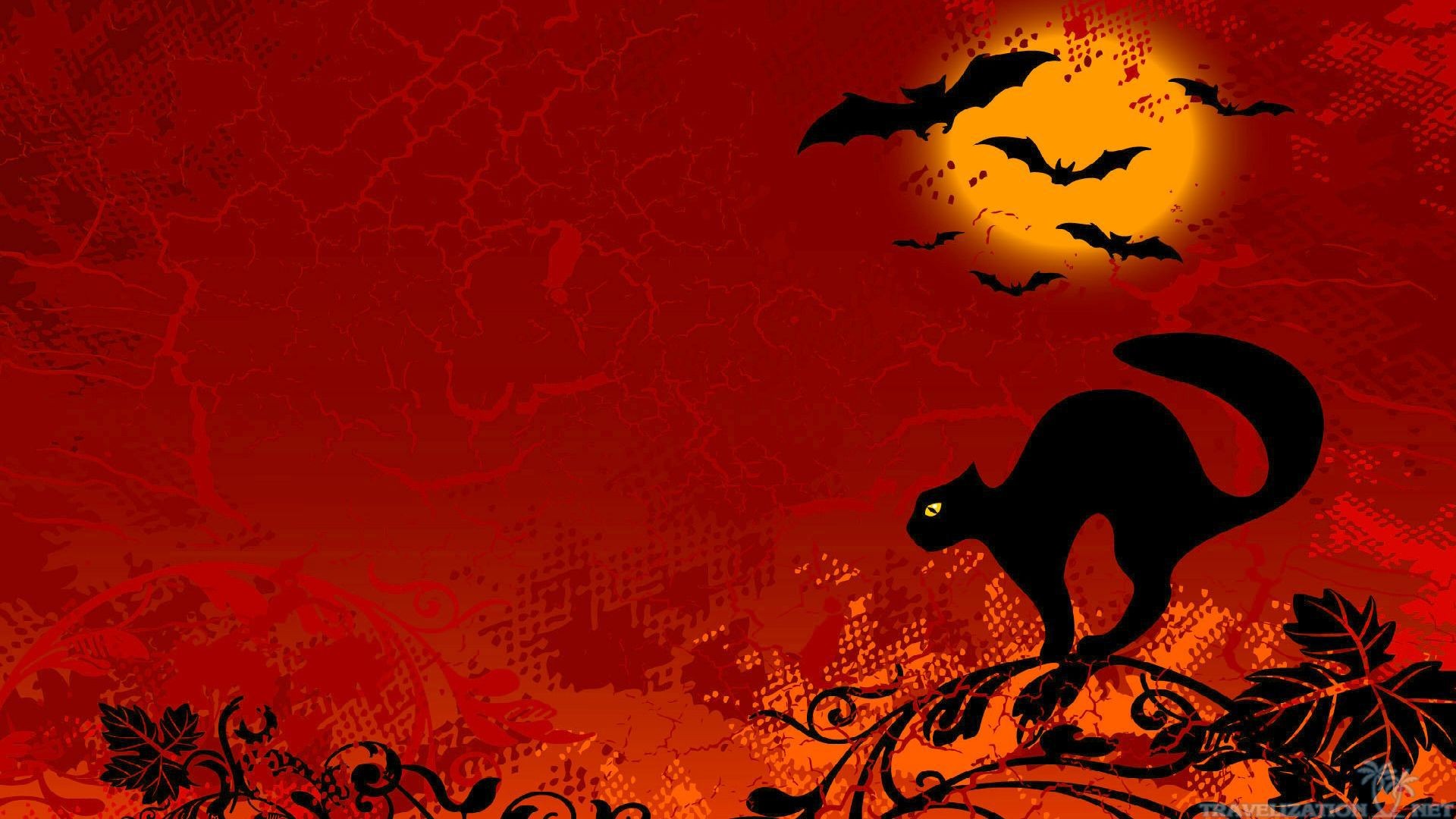 Halloween Cats Wallpapers