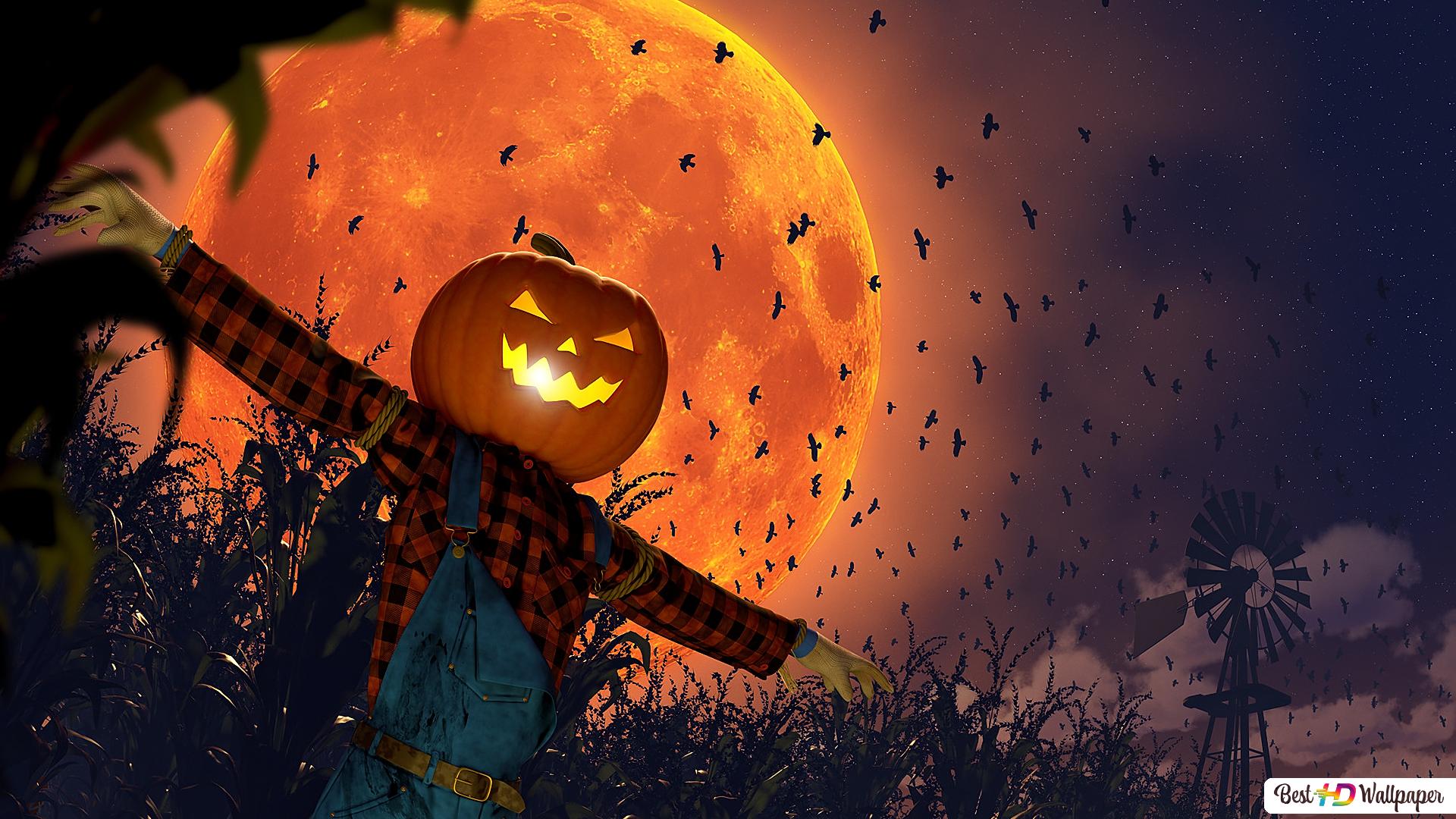 Halloween Scarecrow Wallpapers