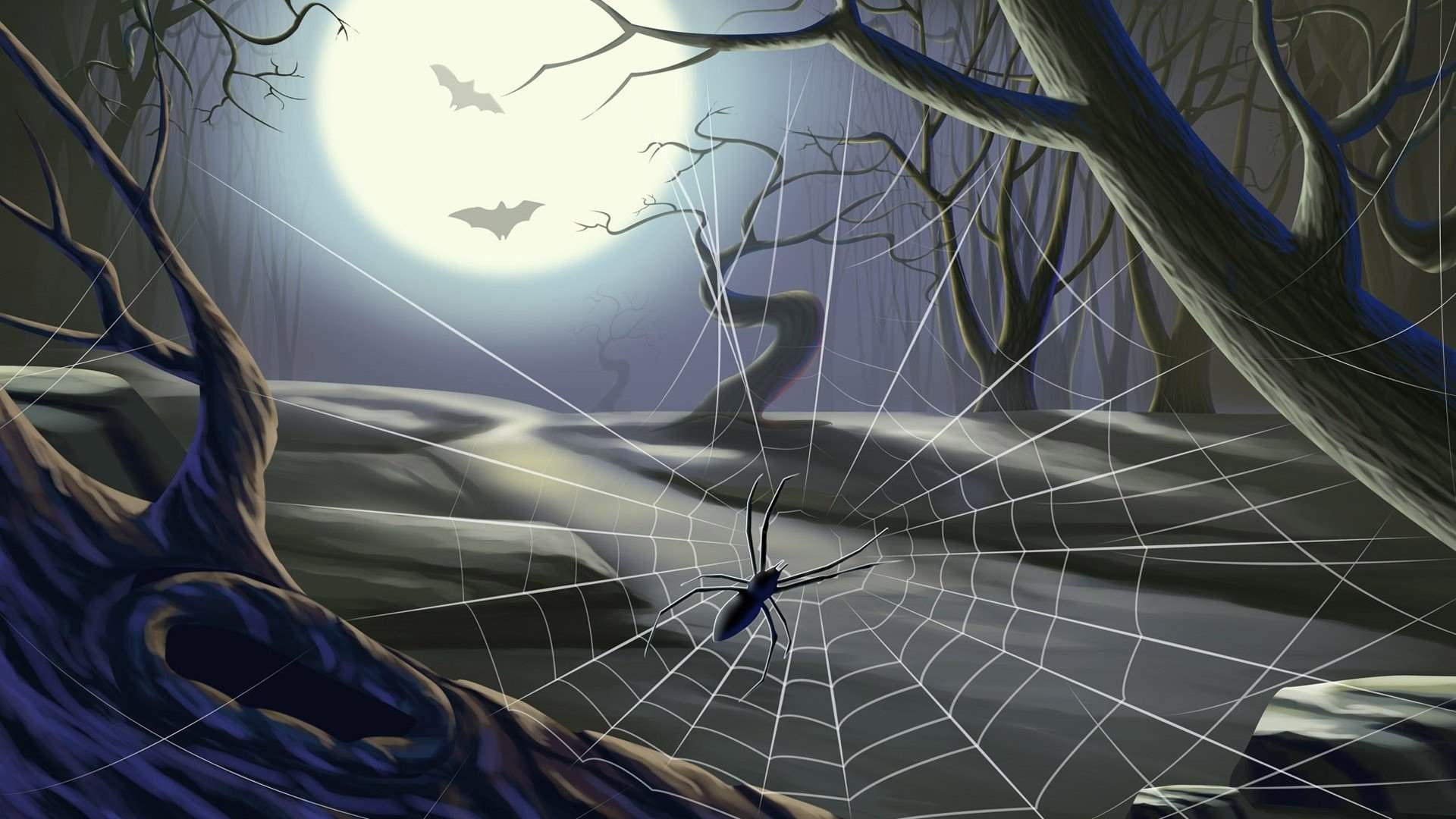 Halloween Spider Wallpapers