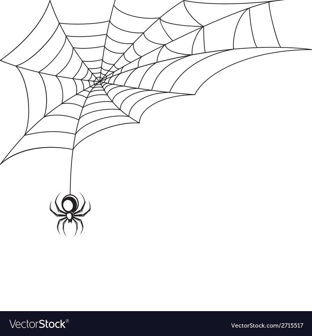 Halloween Spider Web Wallpapers