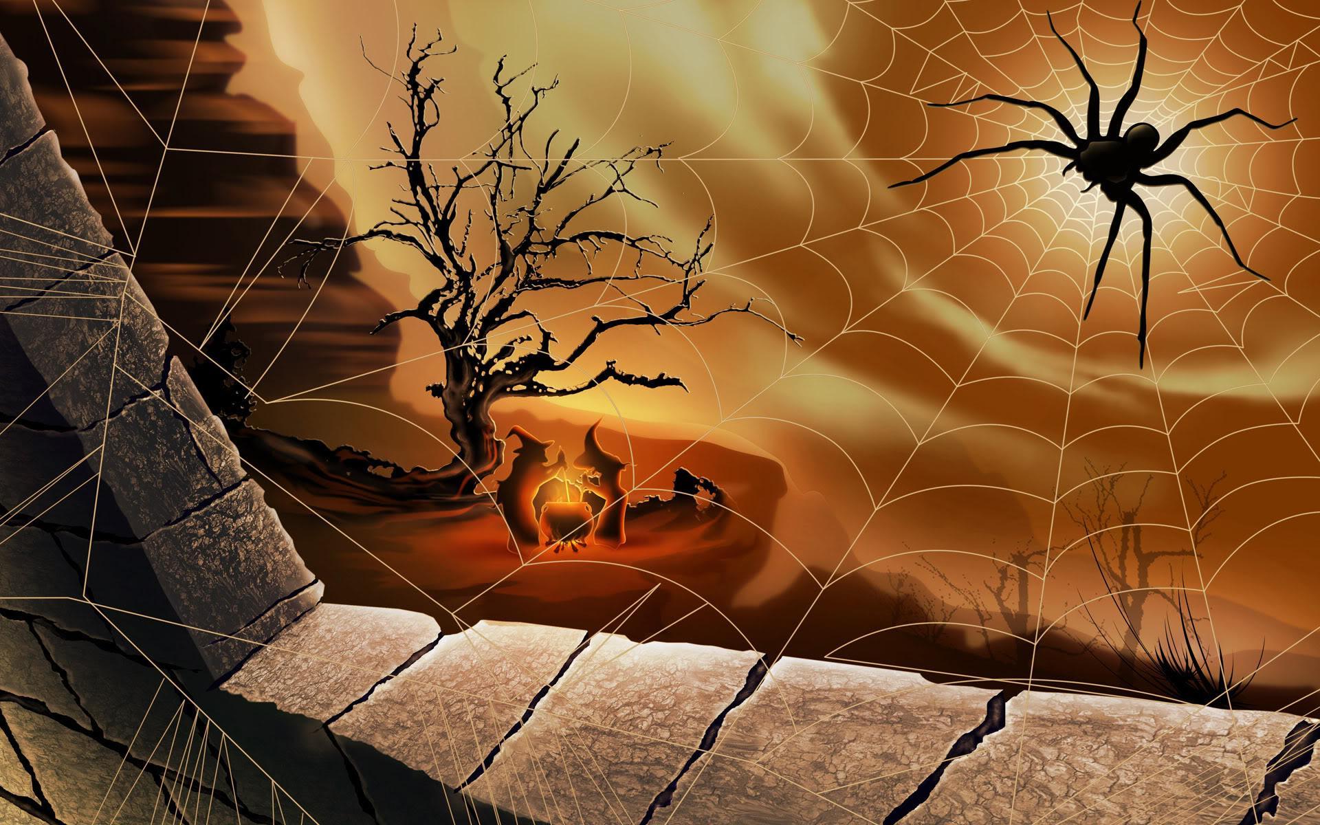 Halloween Spider Web Wallpapers