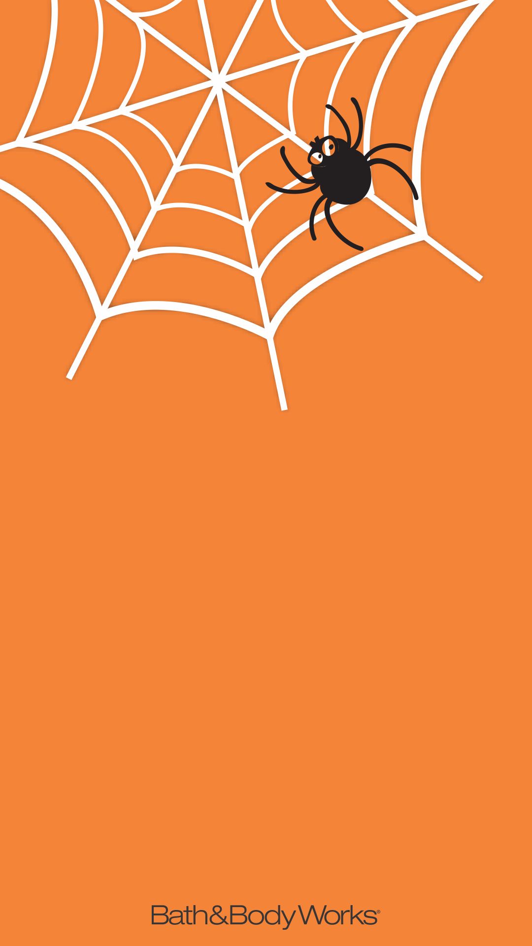 Halloween Spider Web Wallpapers