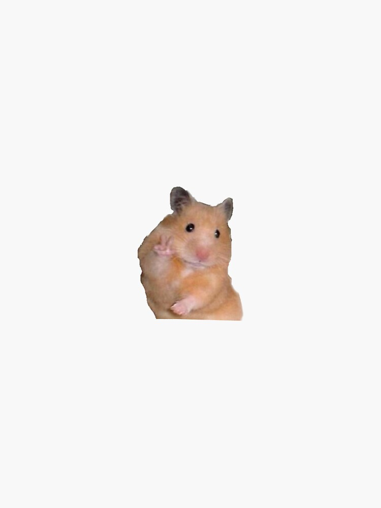 Hamster Meme Picture Wallpapers