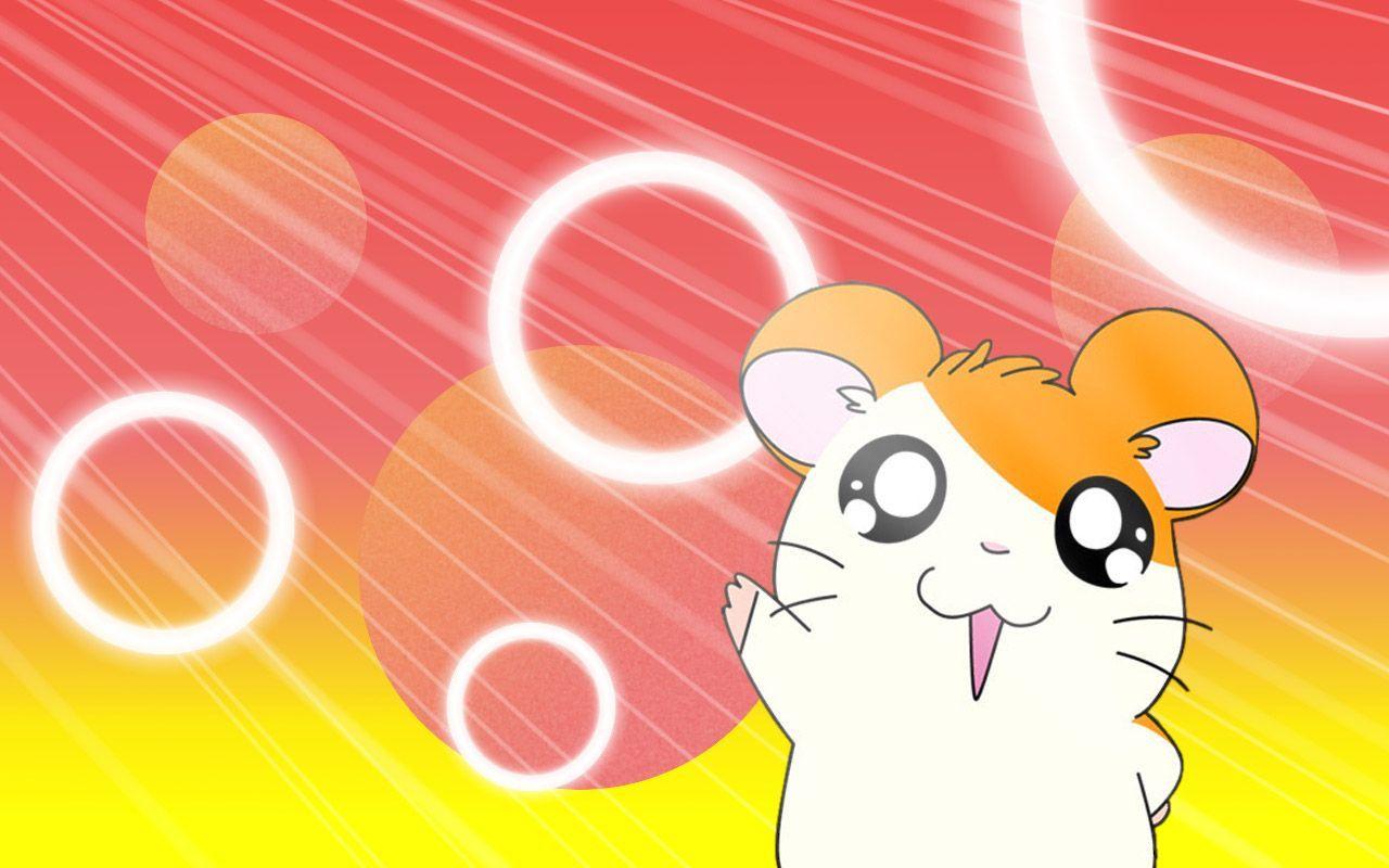 Hamtaro Wallpapers