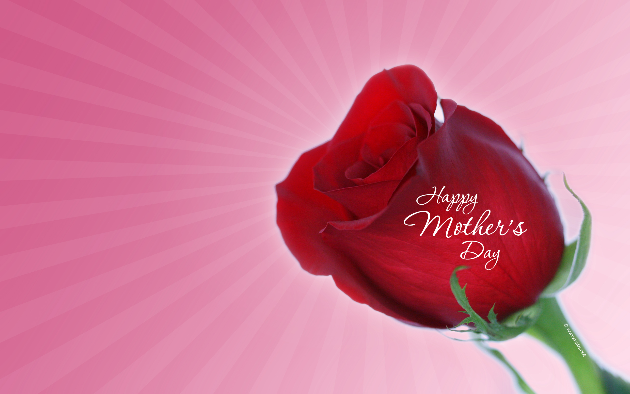 Happy Mothers Day Hd Images Wallpapers