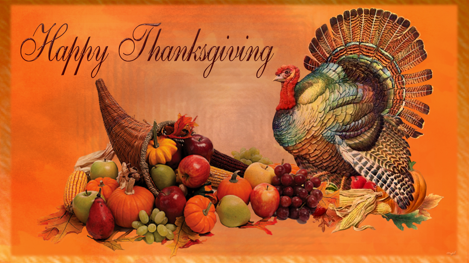 Happy Thanksgiving Hd Wallpapers