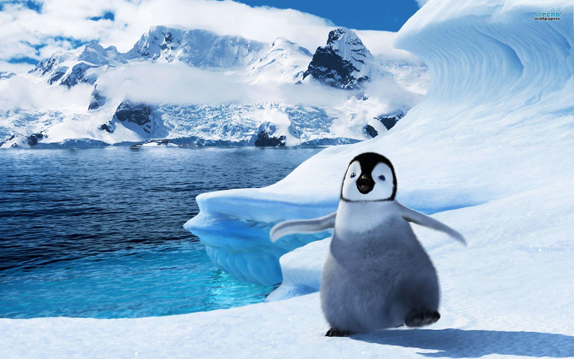 Happyfeet Wallpapers