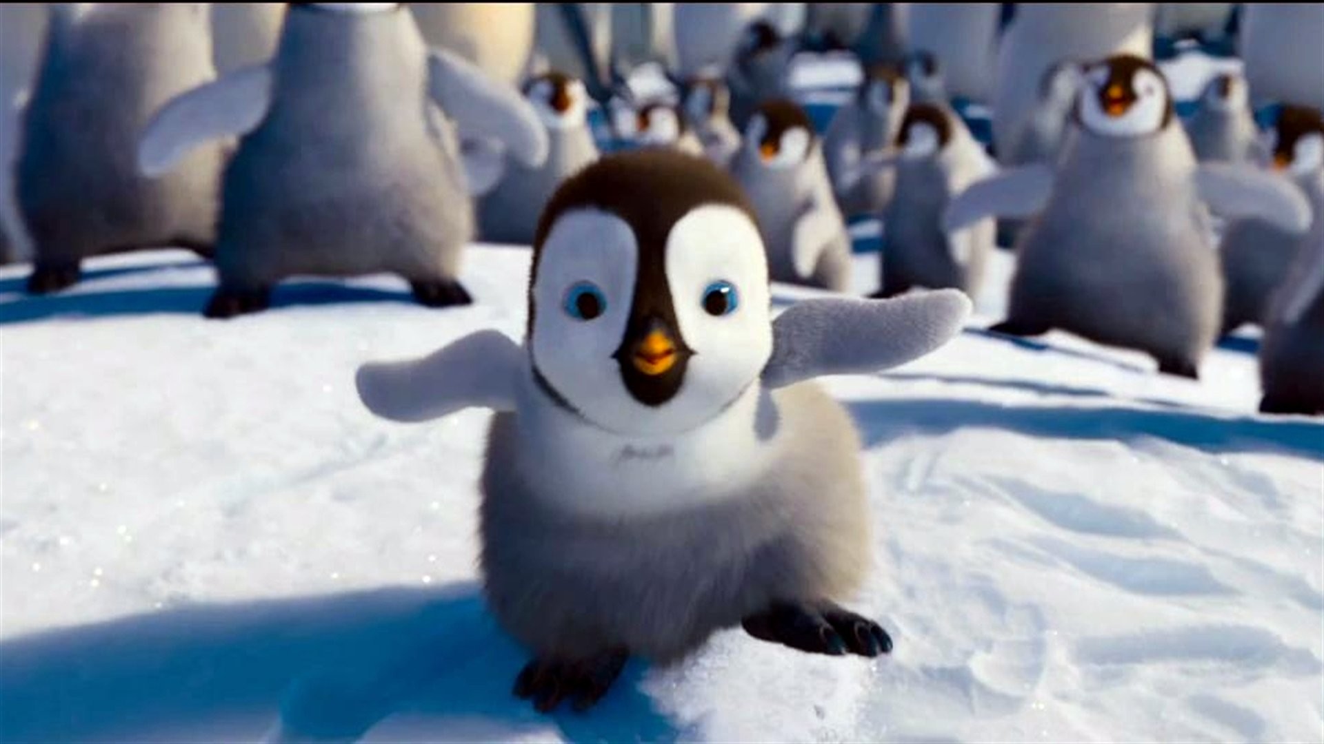 Happyfeet Wallpapers