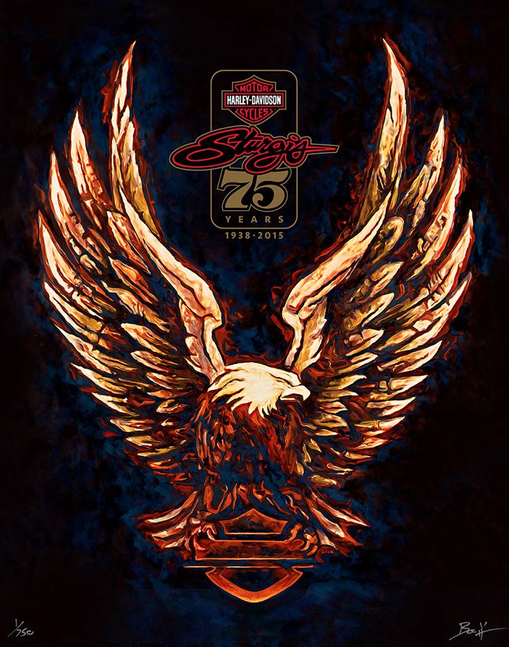 Harley Davidson Logo Eagle Wallpapers