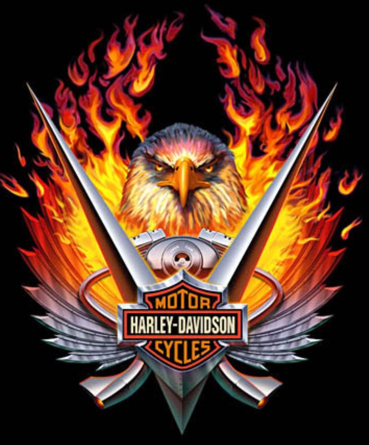 Harley Davidson Logo Eagle Wallpapers