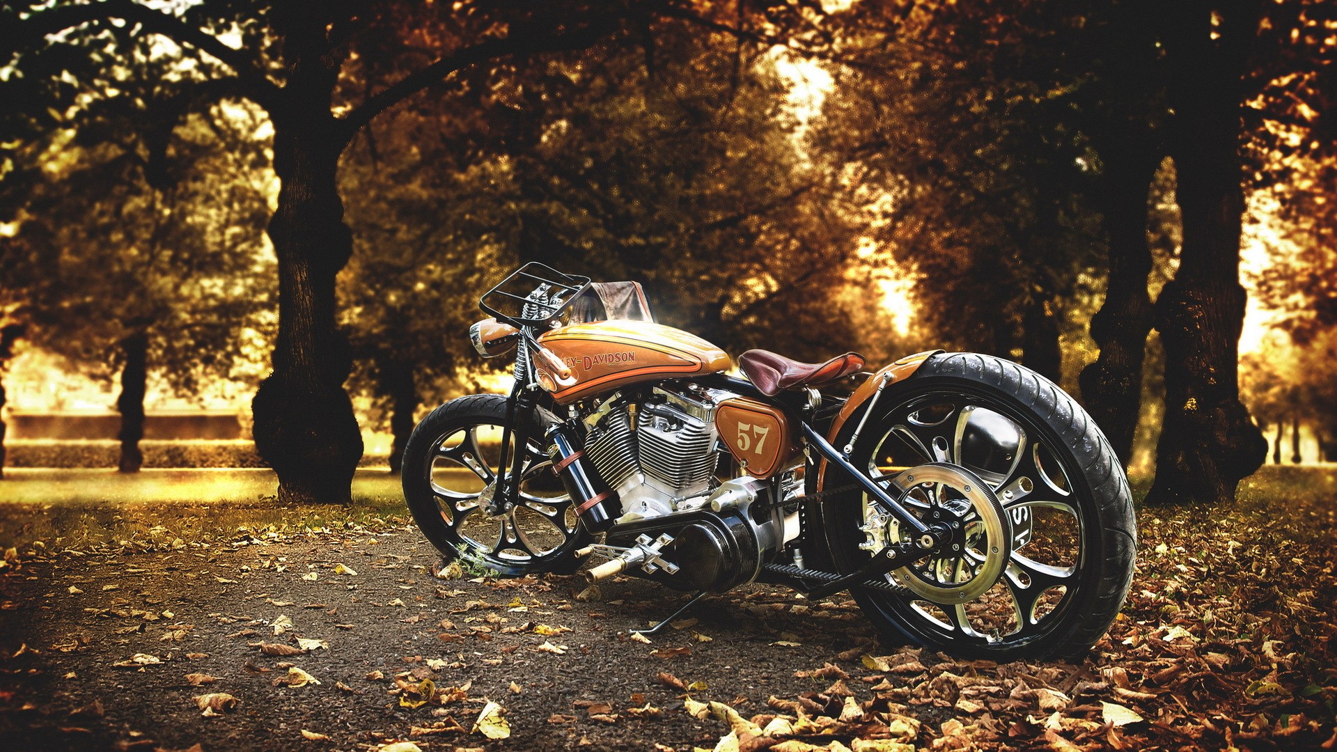 Harley Davidson 4K Wallpapers