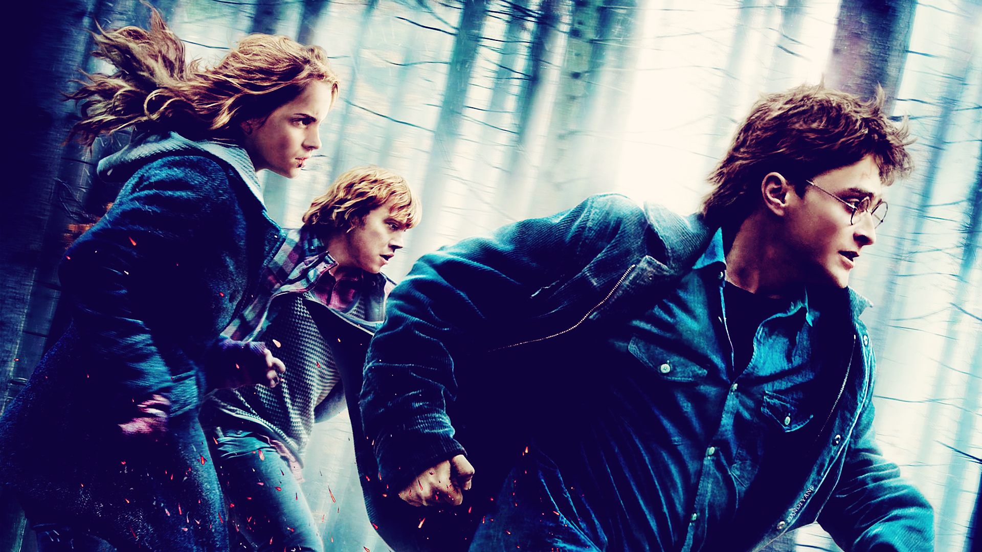 Harry Potter Deathly Hallows Images Wallpapers