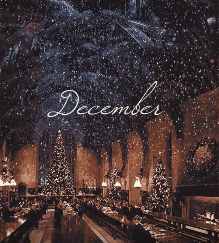 Harry Potter Winter Wallpapers