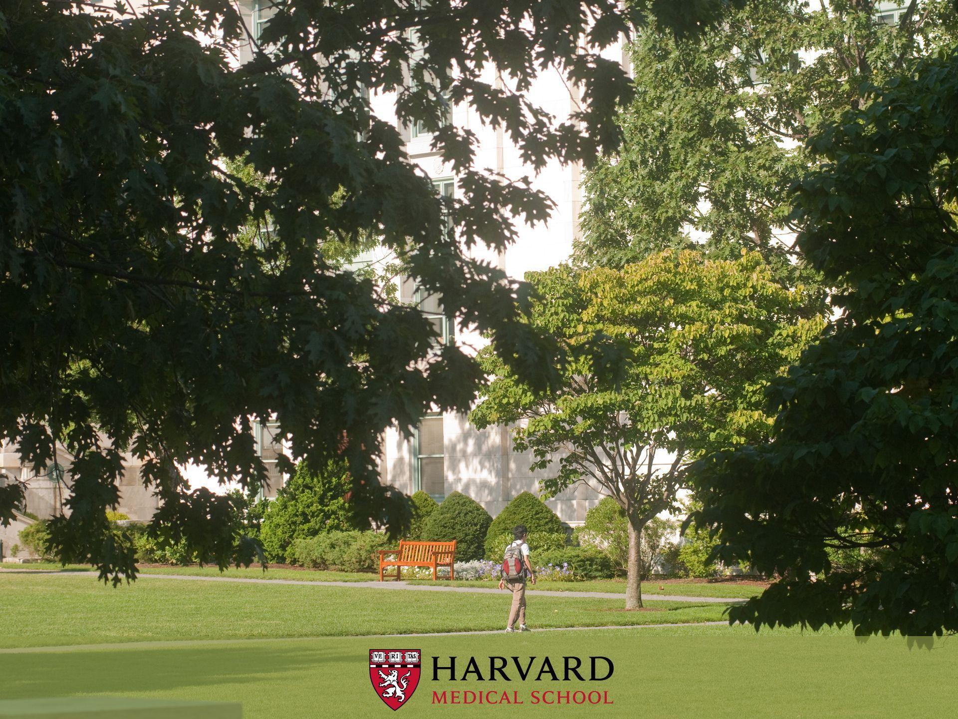 Harvard Wallpapers