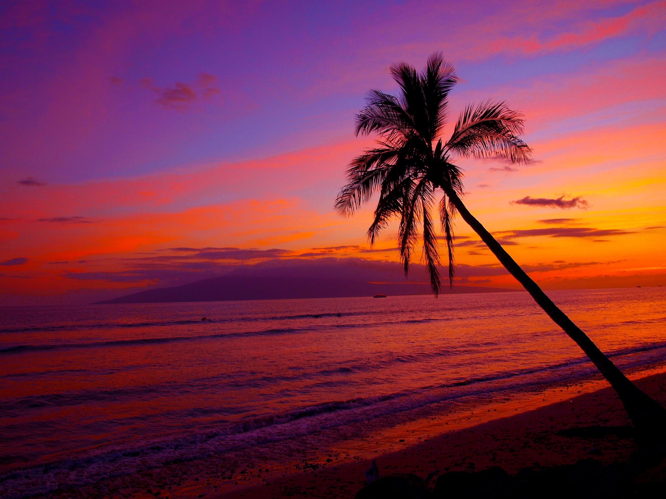 Hawaii Sunset Wallpapers