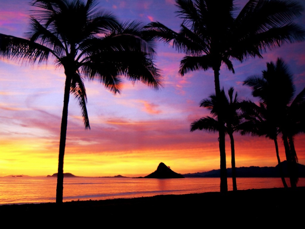 Hawaii Sunset Wallpapers