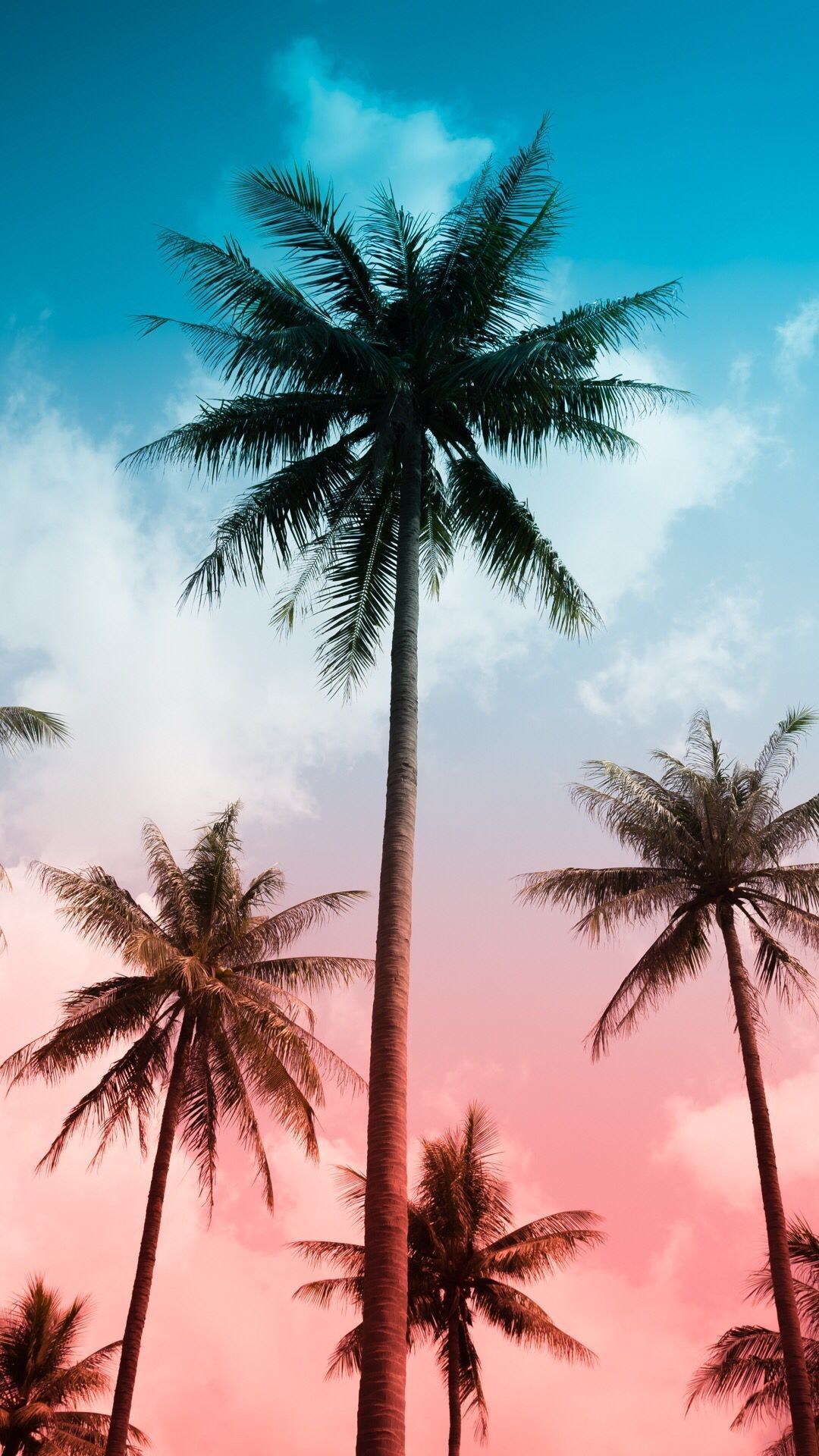 Hawaii Iphone Wallpapers