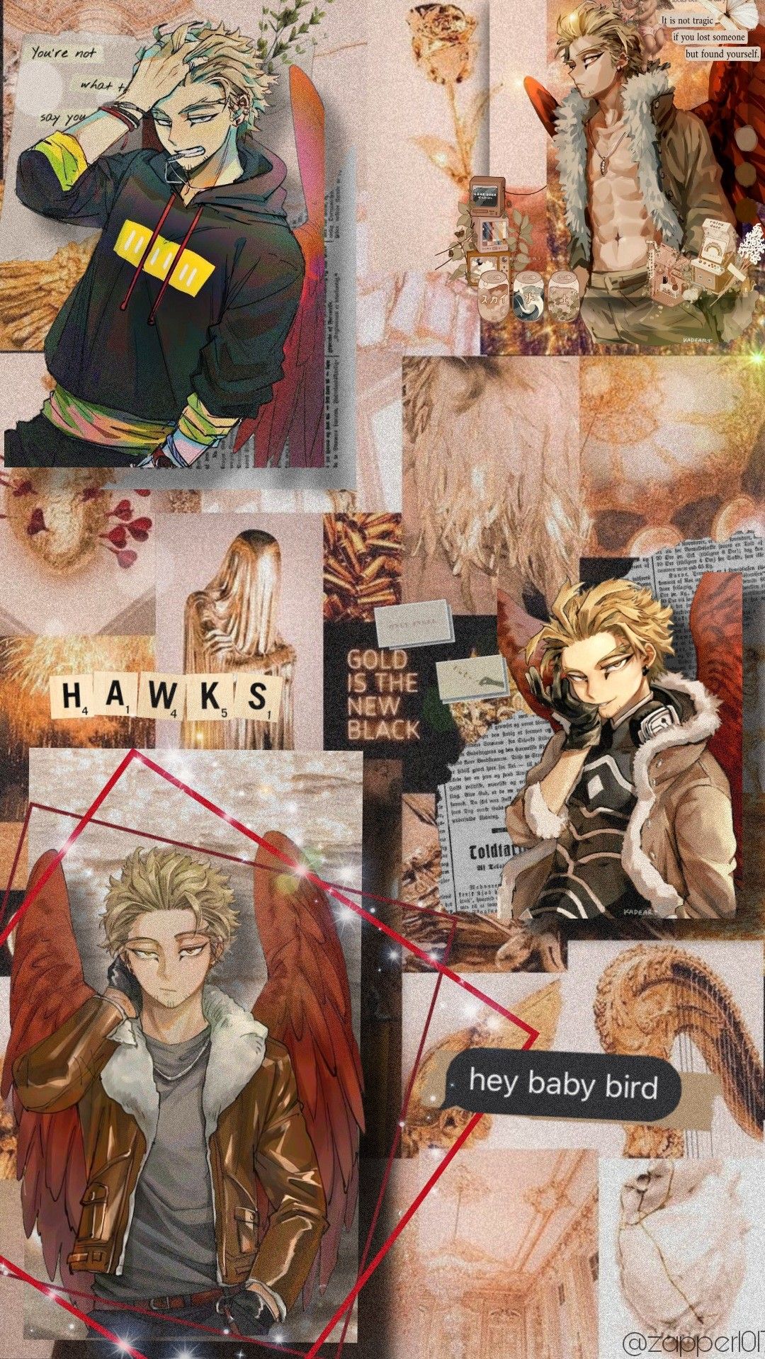 Hawks Wallpapers