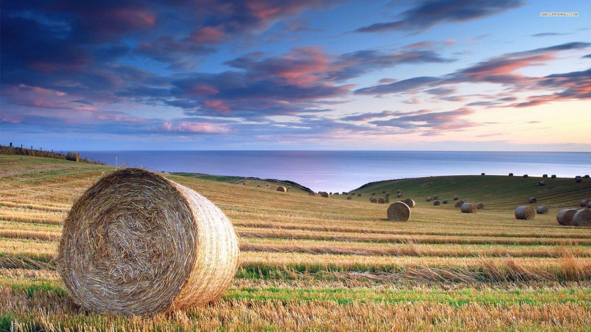 Hay Field Wallpapers