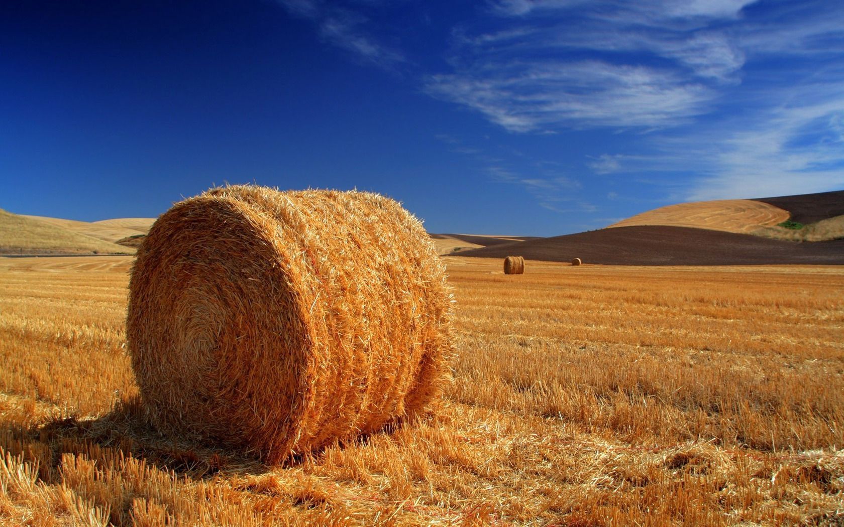 Hay Field Wallpapers