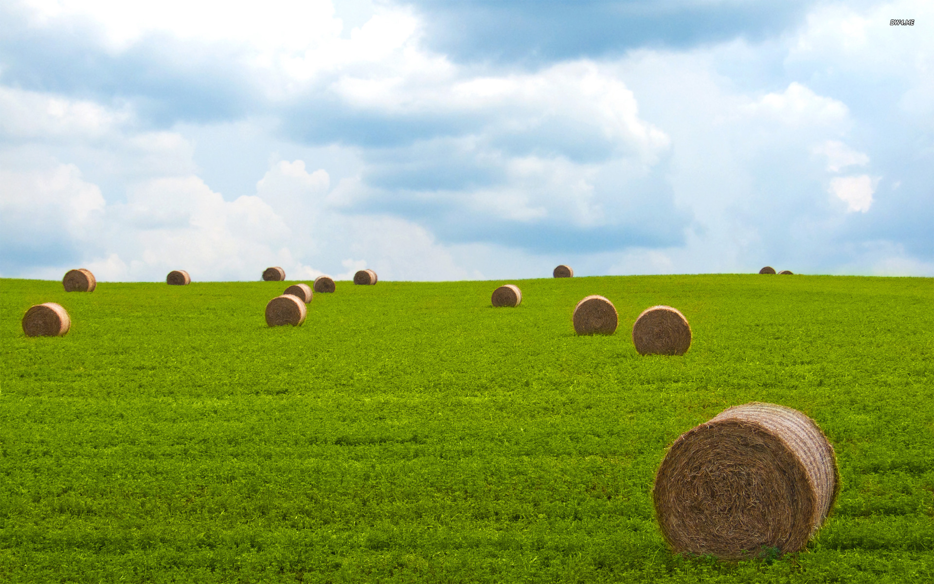 Hay Field Wallpapers