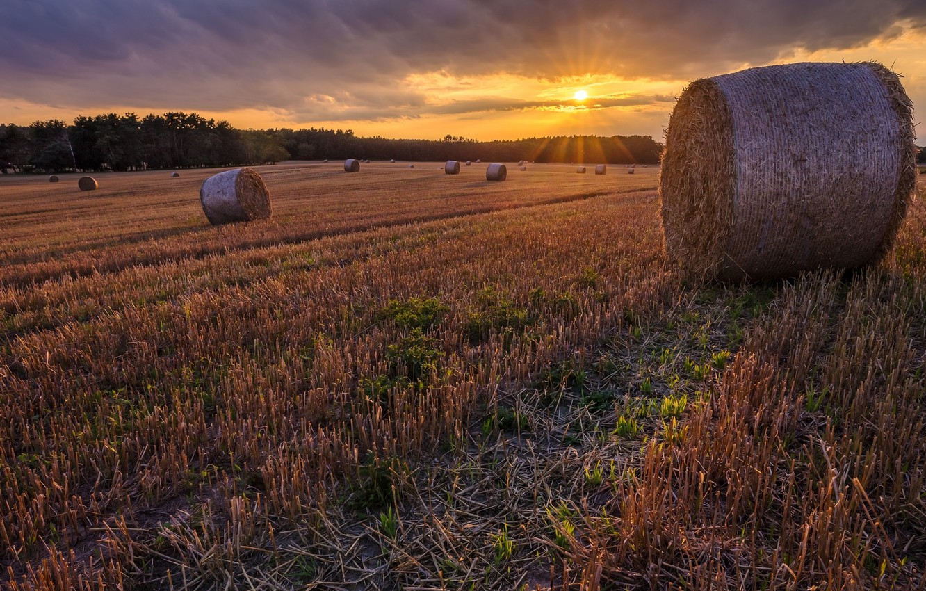 Hay Field Wallpapers