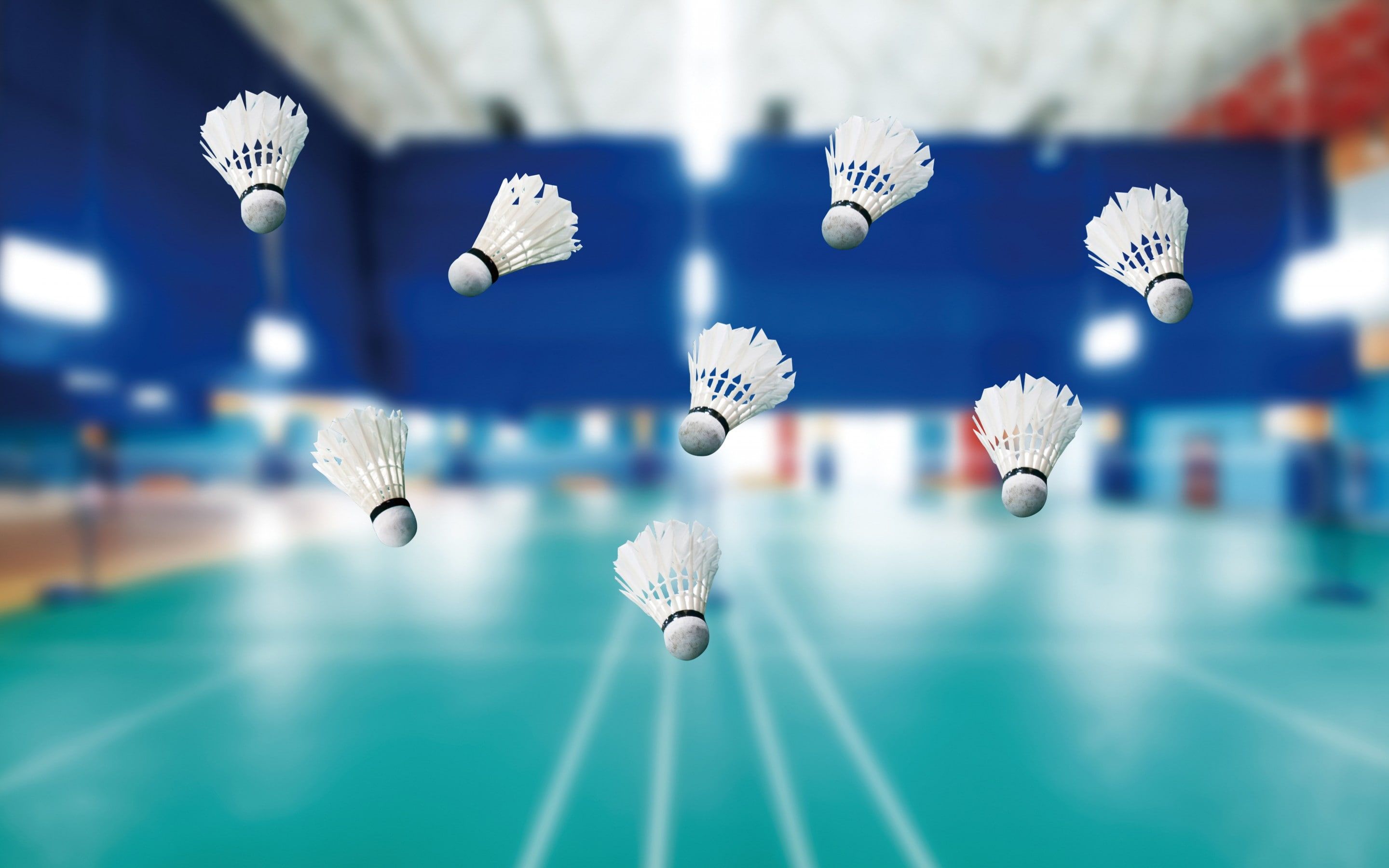 Hd Badminton Wallpapers